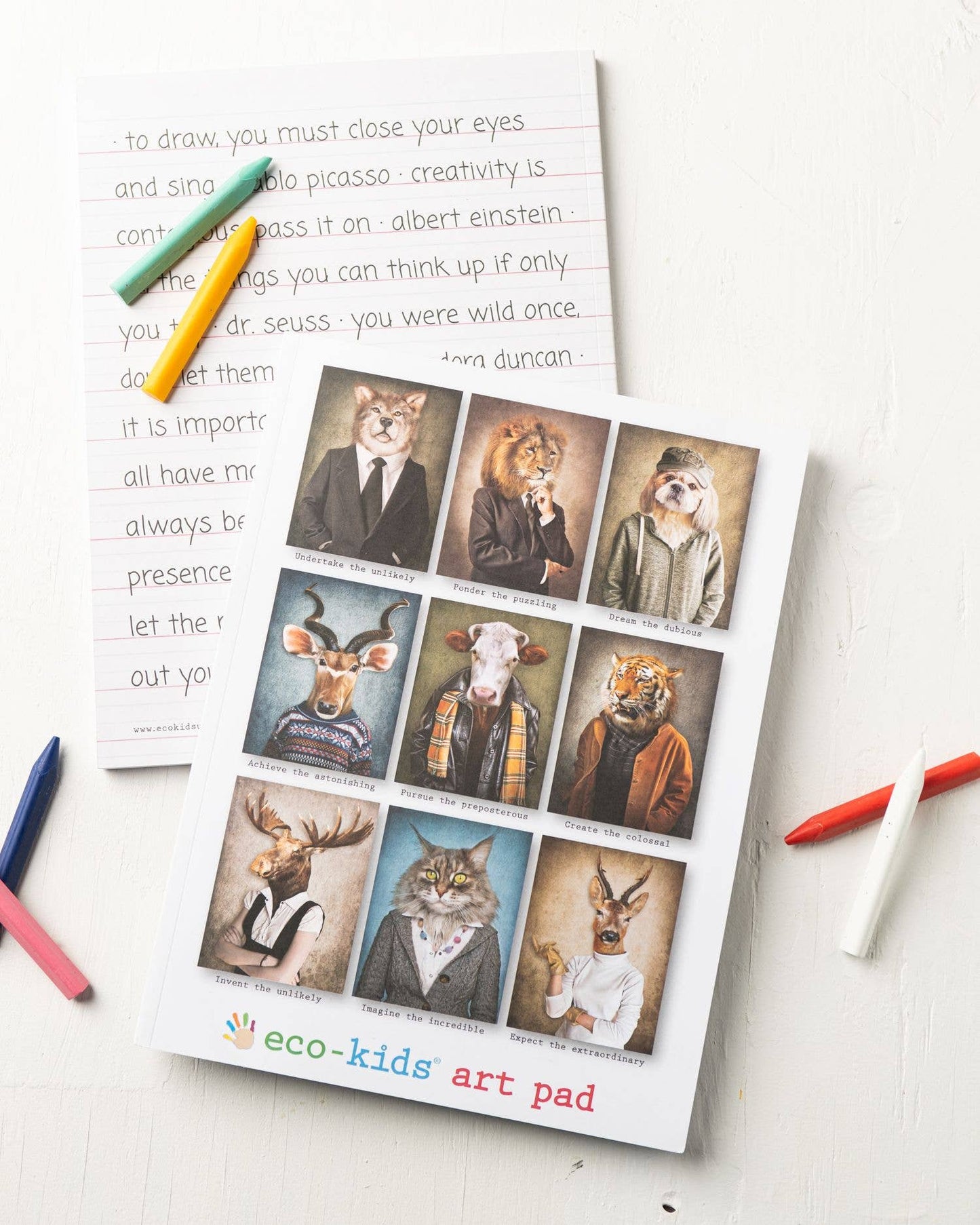 eco art pad, case of 12