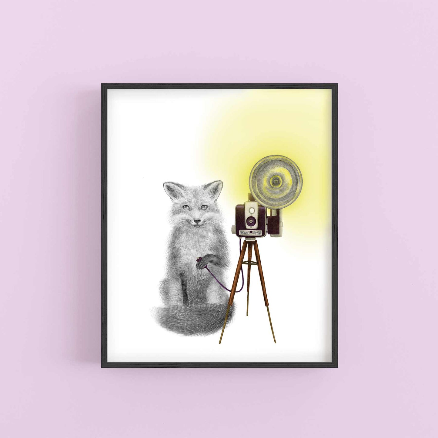 Quinn Bancroft Red Fox Portrait Study