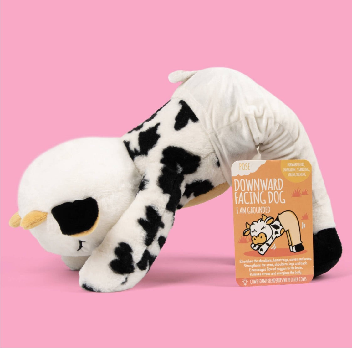 Miss Molly Myga The Mooditating Cow