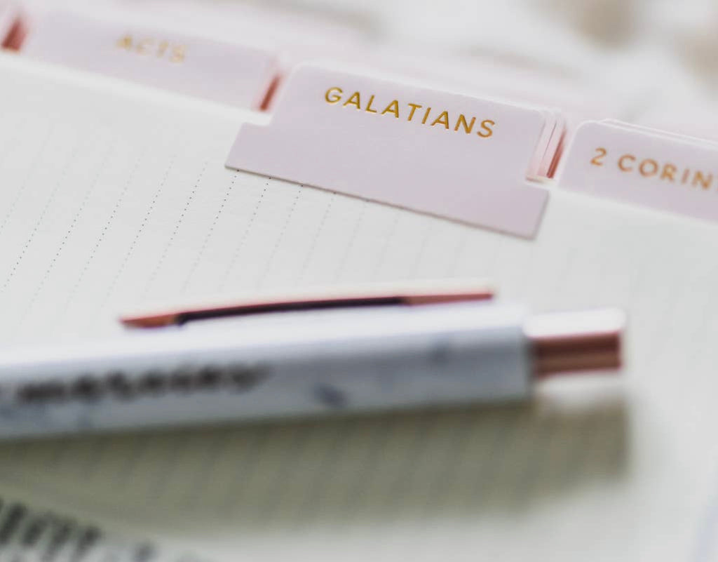Beautiful Blush Bible Tabs