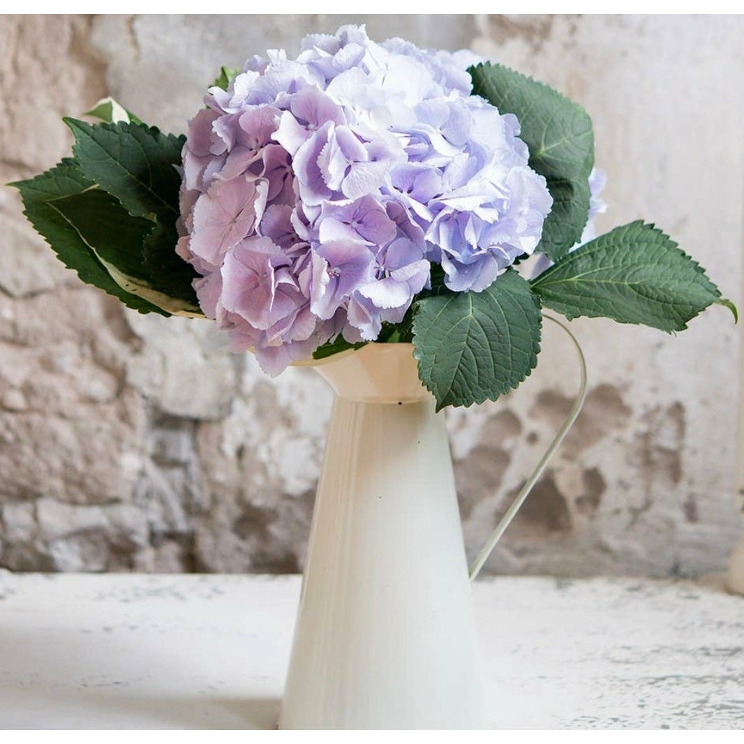 French Provençal Style Enamel Pitcher