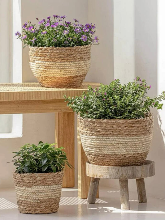 Braided Wooden Planter