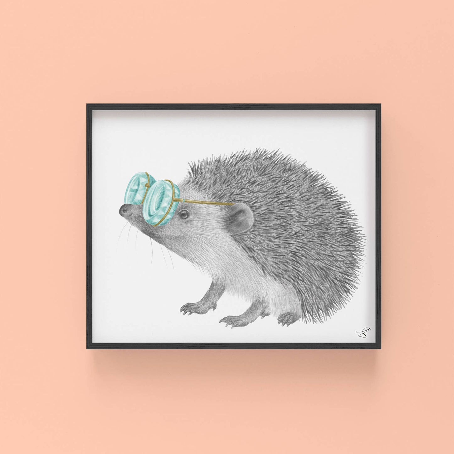Whitby Valentine European Hedgehog Portrait Study