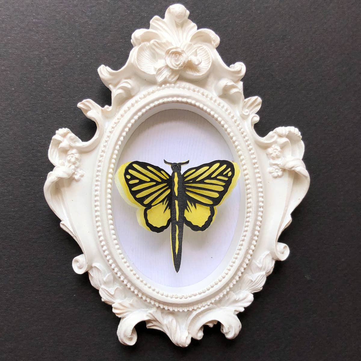 Daffodil - mini hand cut and framed insect display art